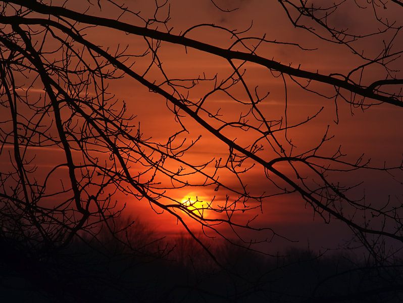 avondzon van Edgar Schermaul