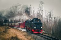 Dampflock der Harzer Schmalspurbahn