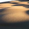 Eerste zonlicht in duinen Australië van Rob van Esch