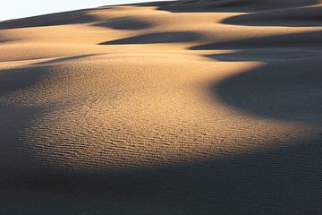 First sunlight in Australia's dunes by Rob van Esch