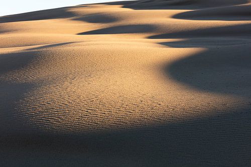 First sunlight in Australia's dunes