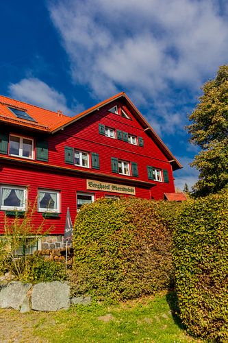 Herfstwandeling door het Thüringer Woud