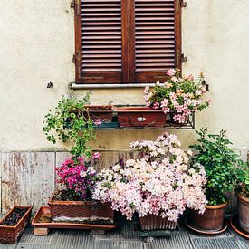 Bloemen in Pienza, Toscane, Italië van Karlijn Meulman