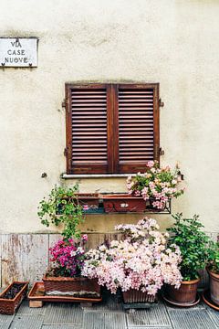 Bloemen in Pienza, Toscane, Italië van Karlijn Meulman