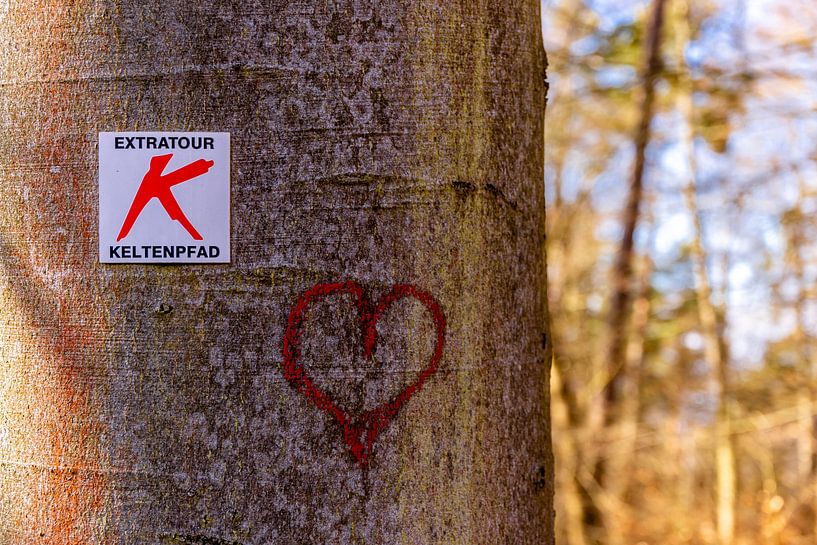 Frühlingshafte Wanderung durch das einzigartige Werratal bei Vacha - Thüringen - Deutschland von Oliver Hlavaty