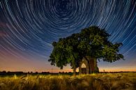 Starting rails above the chapel by Mark Lenoire thumbnail