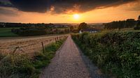 Zonsondergang over het Heuvelland