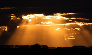 Coucher de soleil céleste sur Gersom Barendregt