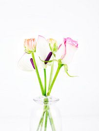 Klein boeket von Niels van der Perk