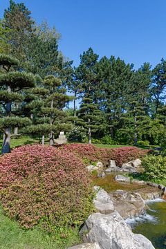 Japanese Garden in the North Park Düsseldorf by Peter Eckert