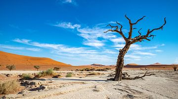 Deadvlei Namibia van Matthijs Peeperkorn