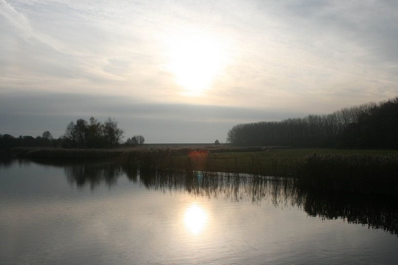 Nederlandse natuur van Robin van Tilborg