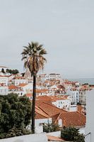 Photographie | voyage | Portugal | lisbonne | vues