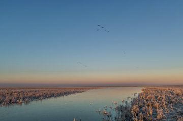 Winter op het Wad van Douwe Struiksma