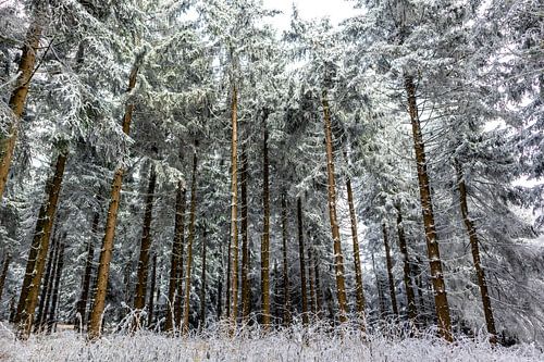 Prachtig winterlandschap op de hoogten van het Thüringer Wald