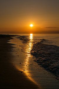 Groynes on shore of the Baltic Sea sur Rico Ködder