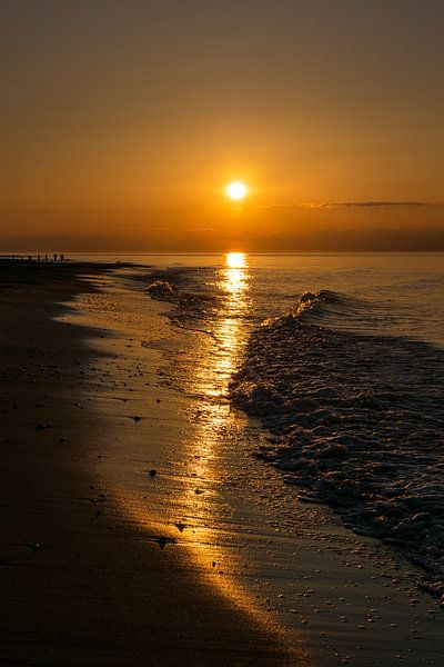 Groynes on shore of the Baltic Sea by Rico Ködder