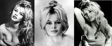 Collage Brigitte Bardot