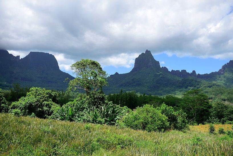 De berg Tohi&#039;e&#039;a is altijd zichtbaar van Frank's Awesome Travels