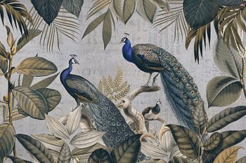 Majestueuze Pauwen in de Jungle en Vintage Typografie
