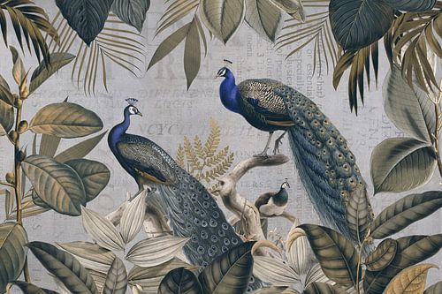 Majestic Peafowls In The Jungle And Vintage Typography by Andrea Haase