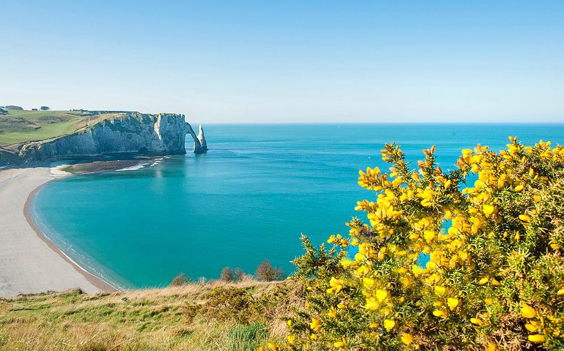 La vue sur la baie d'Étretat par Hilke Maunder