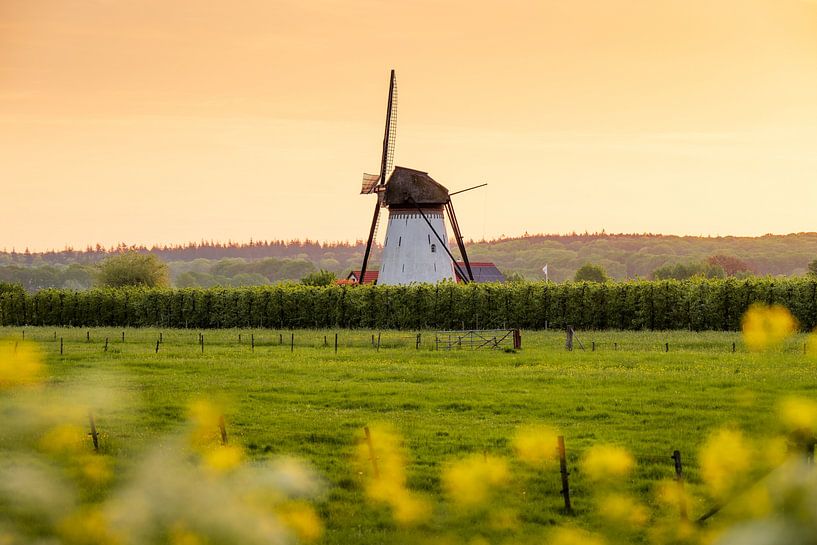 The Betuwe turns orange by Max ter Burg Fotografie