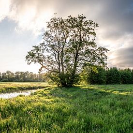 Drentsche Aa - panorama Deurzerdiep van Harolds Hikes