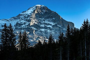 Eiger in herfstachtige avondstemming van Martin Opladen