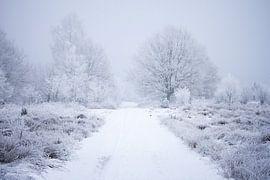 Winter landscape by Karijn | Fine art Natuur en Reis Fotografie