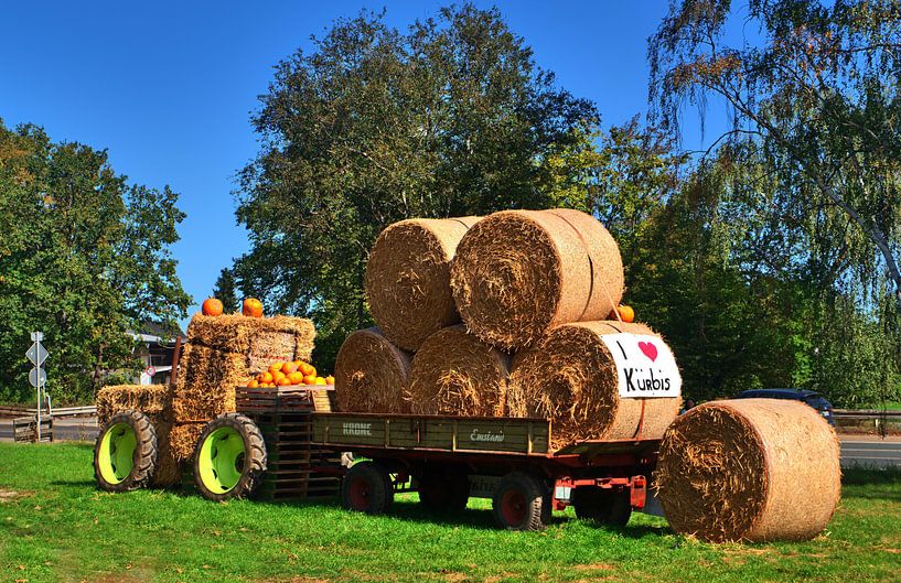 Strotrekker 2 van Edgar Schermaul