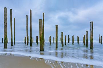 Palendorp Petten 3. kunstwerk bestaande uit 160 palen. van Marcel Kieffer