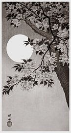 Blühende Kirschblüten im Mondlicht in warmem Grau (Ohara Koson)