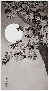 Blühende Kirschblüten im Mondlicht in warmem Grau (Ohara Koson)