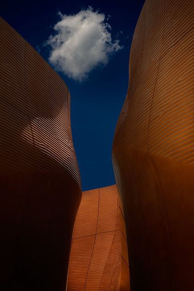 Untitled by Roberto Marini