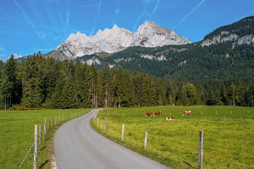 The Kaiser Mountains in Tyrol - view of the Wilder Kaiser by ManfredFotos