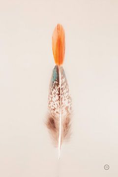Floating Feathers I, Nathan Larson