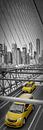 Stedelijke Indruk van de Brooklyn Bridge | Panorama verticale van Melanie Viola thumbnail