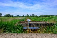 Natuurlandschap Met Een Beek En Een Oud Bruggetje