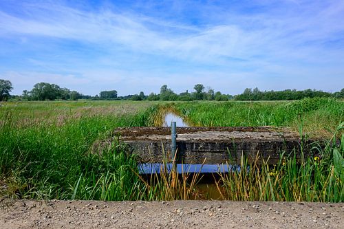 Natuurlandschap Met Een Beek En Een Oud Bruggetje