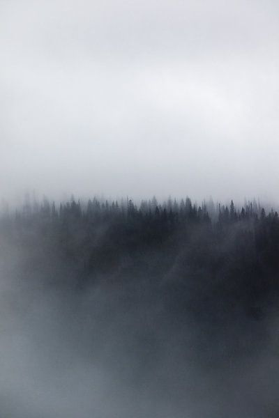 Mother Nature by Hello Pompoyo