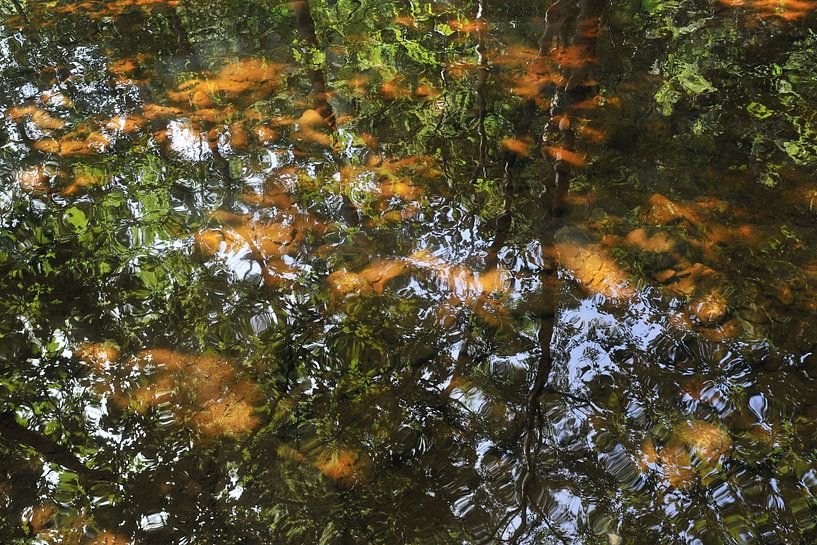 Water 25. van JRobert Photography