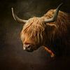 Portrait Of A Highland Cow by Diana van Tankeren