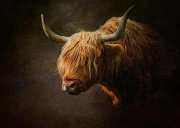 Portrait Of A Highland Cow by Diana van Tankeren