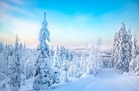 Paysage d'hiver en Laponie (Finlande). Au loin, le soleil d'hiver brille sur la forêt. par Benjamien t'Kindt Aperçu