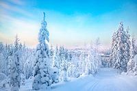 Winters landschap in Lapland (Finland). In de verte schijnt de winterzon op het bos.
