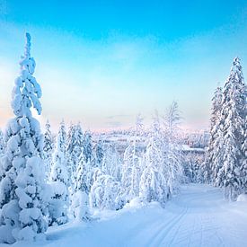 Winter landscape in Lapland (Finland). In the distance, the winter sun shines on the forest. by Benjamien t'Kindt