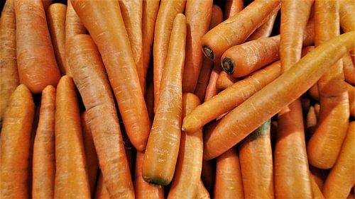 Karottenfeld: Orange Vertikale Texturen