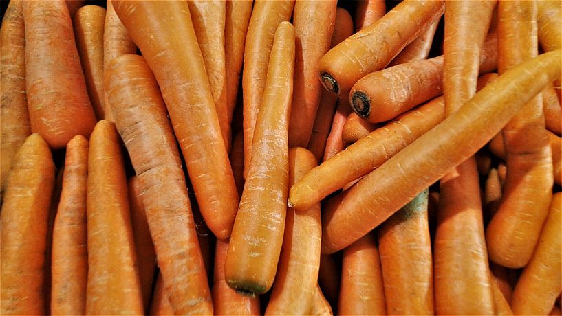 Wortelveld: Oranje verticale texturen van pungky setiawan