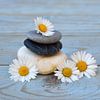 Zen-Steine mit Blumen von Trinet Uzun